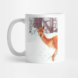 Vicuna starring to the camera Mug